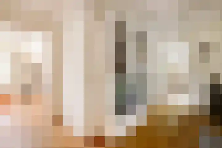 Fransewegje 1 Noordgouwe thumbnail 35