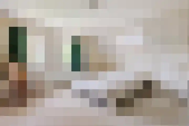 Fransewegje 1 Noordgouwe thumbnail 36