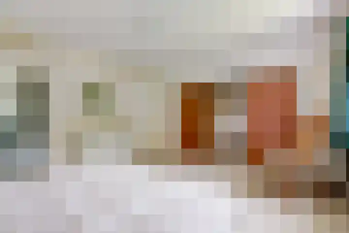 Fransewegje 1 Noordgouwe thumbnail 37
