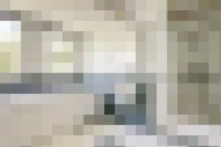 Fransewegje 1 Noordgouwe thumbnail 38