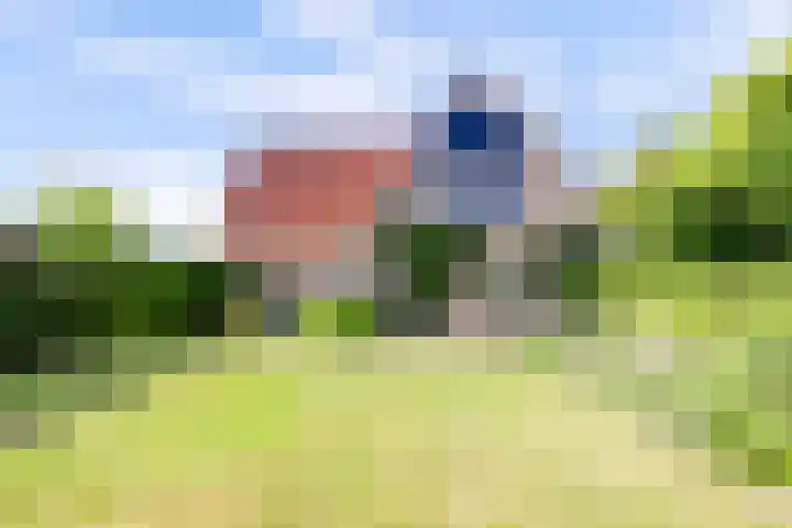 Fransewegje 1 Noordgouwe thumbnail 4
