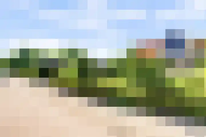 Fransewegje 1 Noordgouwe thumbnail 40