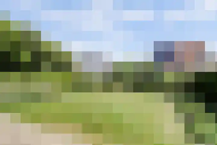 Fransewegje 1 Noordgouwe thumbnail 41