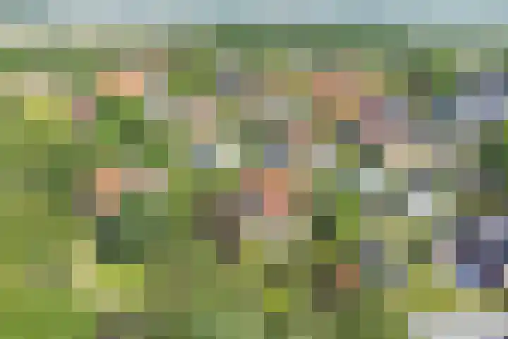 Fransewegje 1 Noordgouwe thumbnail 43