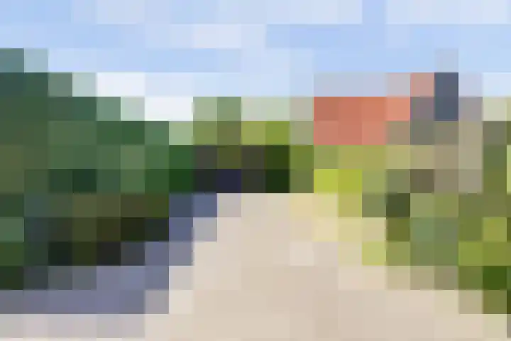 Fransewegje 1 Noordgouwe thumbnail 5