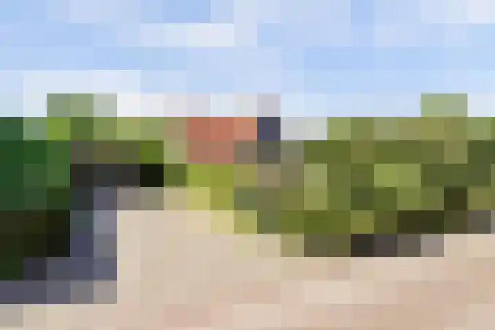 Fransewegje 1 Noordgouwe thumbnail 6