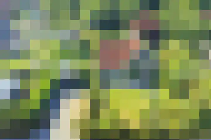 Fransewegje 1 Noordgouwe thumbnail 7