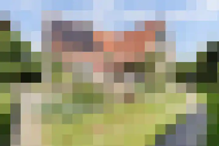 Fransewegje 1 Noordgouwe thumbnail 8