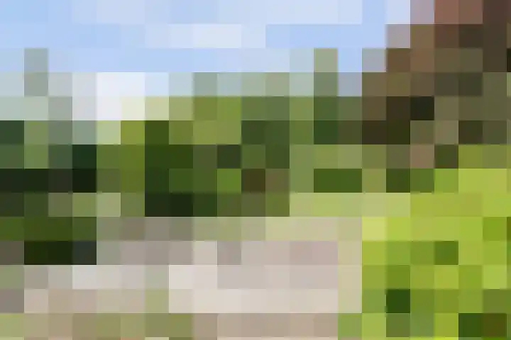 Fransewegje 1 Noordgouwe thumbnail 9
