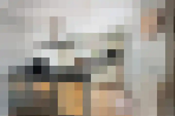 Fransezoom 27 Nieuwerkerk aan den IJssel thumbnail 10