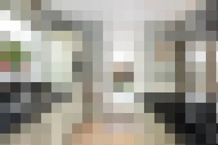 Fransezoom 27 Nieuwerkerk aan den IJssel thumbnail 12