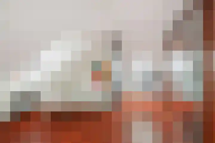 Fransezoom 27 Nieuwerkerk aan den IJssel thumbnail 22