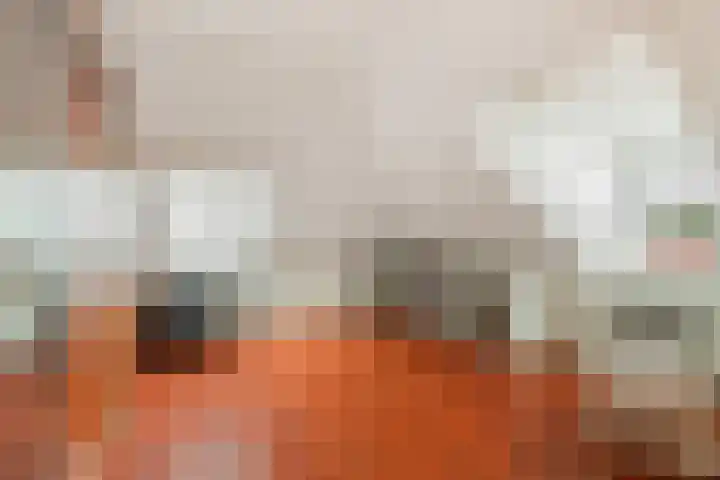 Fransezoom 27 Nieuwerkerk aan den IJssel thumbnail 23