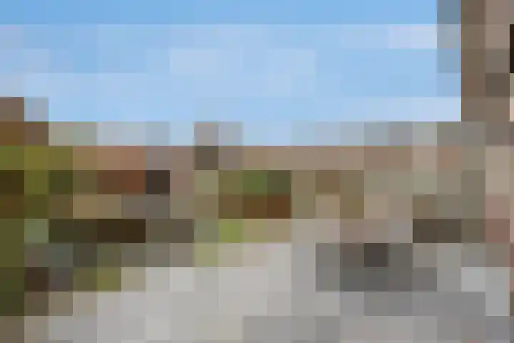Fransezoom 27 Nieuwerkerk aan den IJssel thumbnail 24