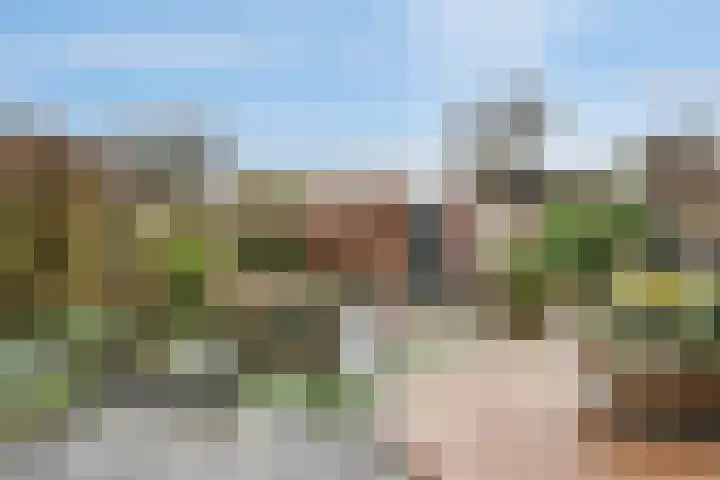 Fransezoom 27 Nieuwerkerk aan den IJssel thumbnail 25