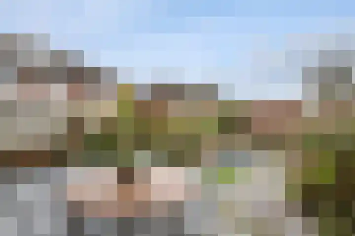 Fransezoom 27 Nieuwerkerk aan den IJssel thumbnail 26