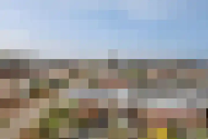 Fransezoom 27 Nieuwerkerk aan den IJssel thumbnail 28