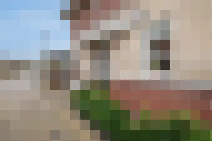 Fransezoom 27 Nieuwerkerk aan den IJssel thumbnail 30
