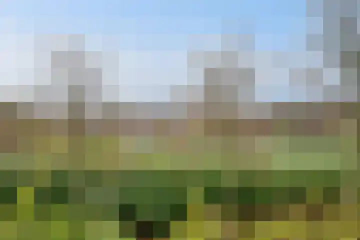Fransezoom 27 Nieuwerkerk aan den IJssel thumbnail 31