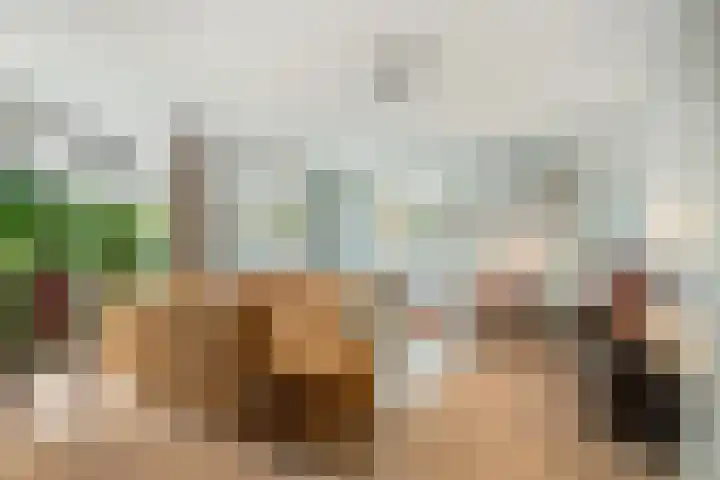 Fransezoom 27 Nieuwerkerk aan den IJssel thumbnail 4