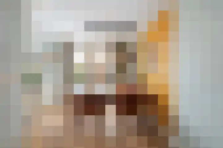 Fransezoom 27 Nieuwerkerk aan den IJssel thumbnail 8