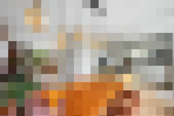 Fransezoom 27 Nieuwerkerk aan den IJssel thumbnail 9