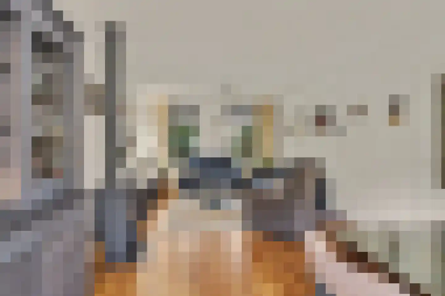Fransjesweg 5 Kwadendamme thumbnail 14