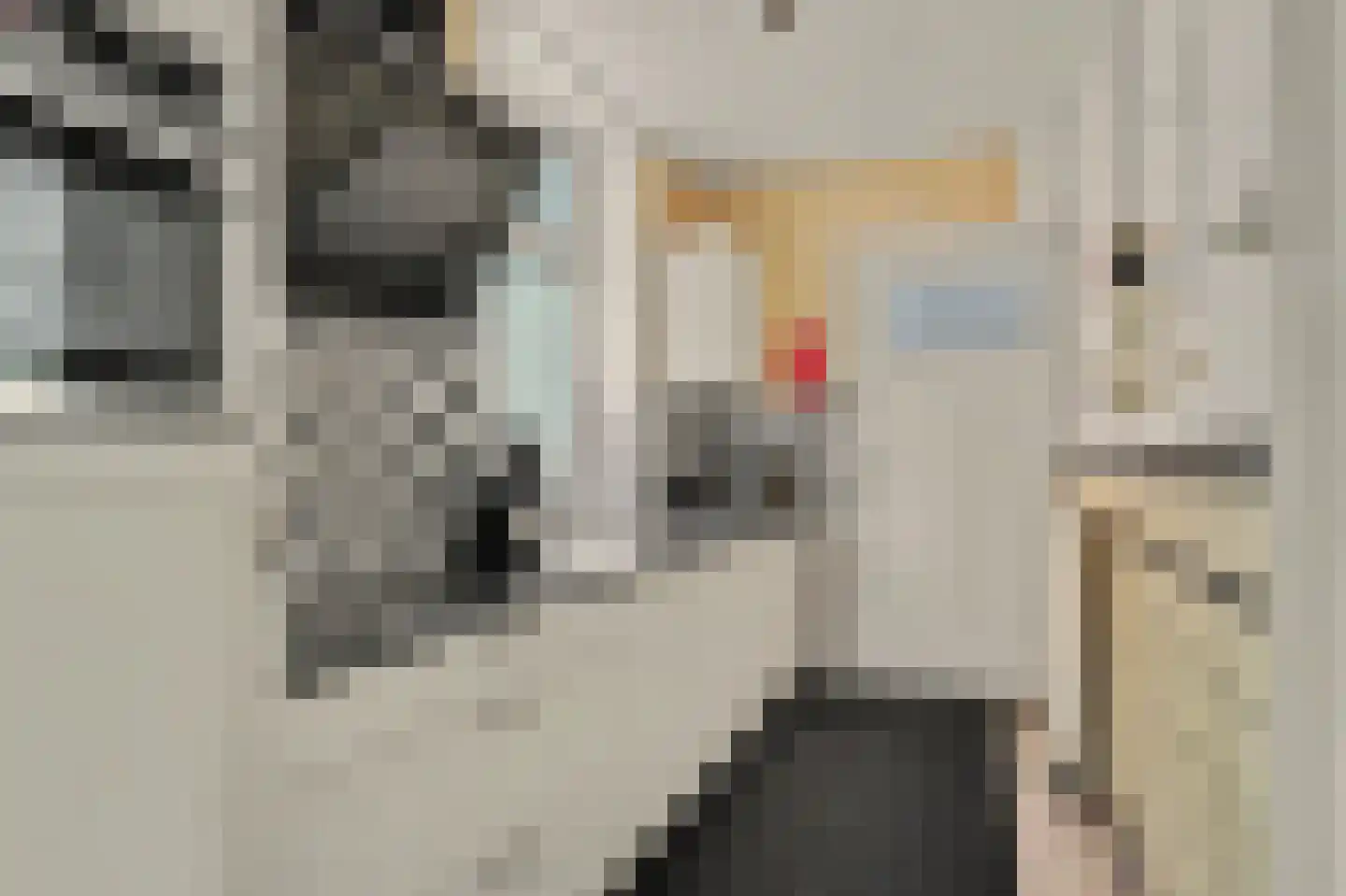 Fransjesweg 5 Kwadendamme thumbnail 15