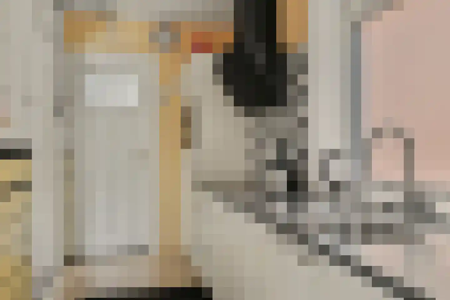 Fransjesweg 5 Kwadendamme thumbnail 17