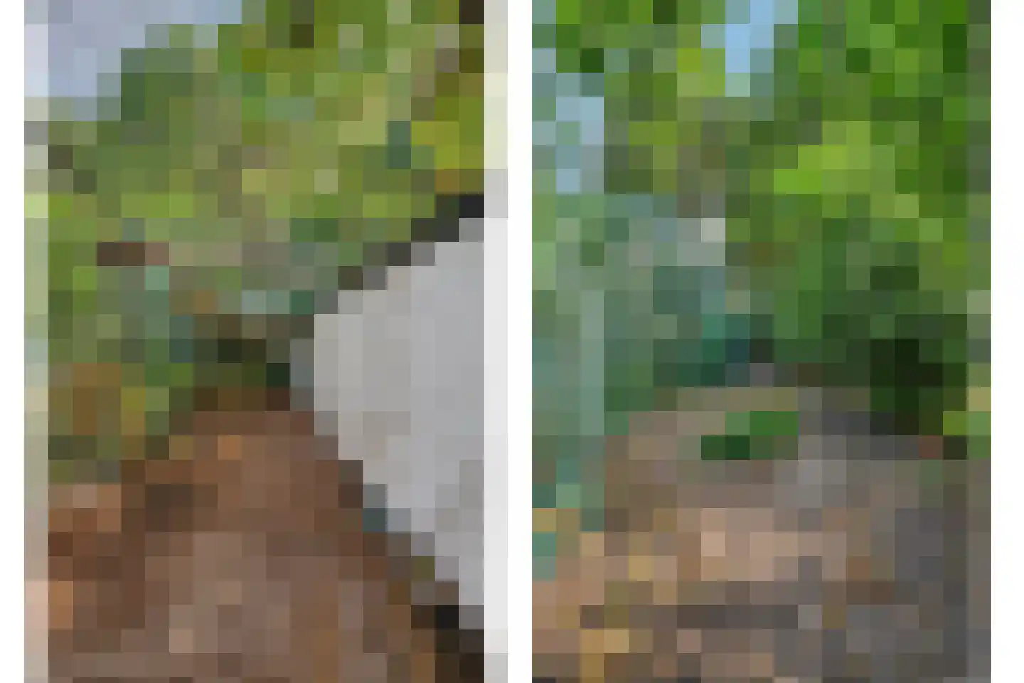 Fransjesweg 5 Kwadendamme thumbnail 32