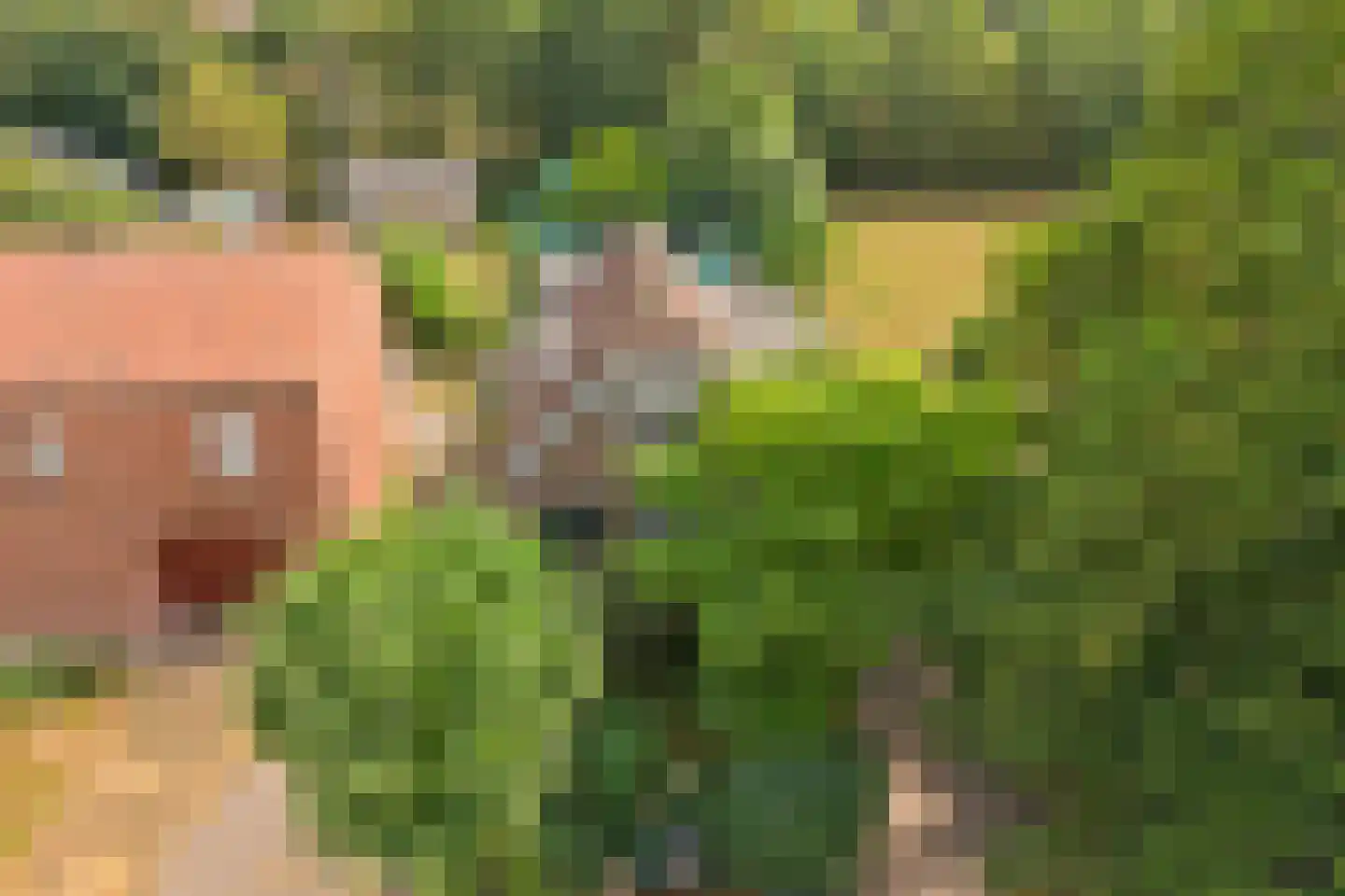 Fransjesweg 5 Kwadendamme thumbnail 33