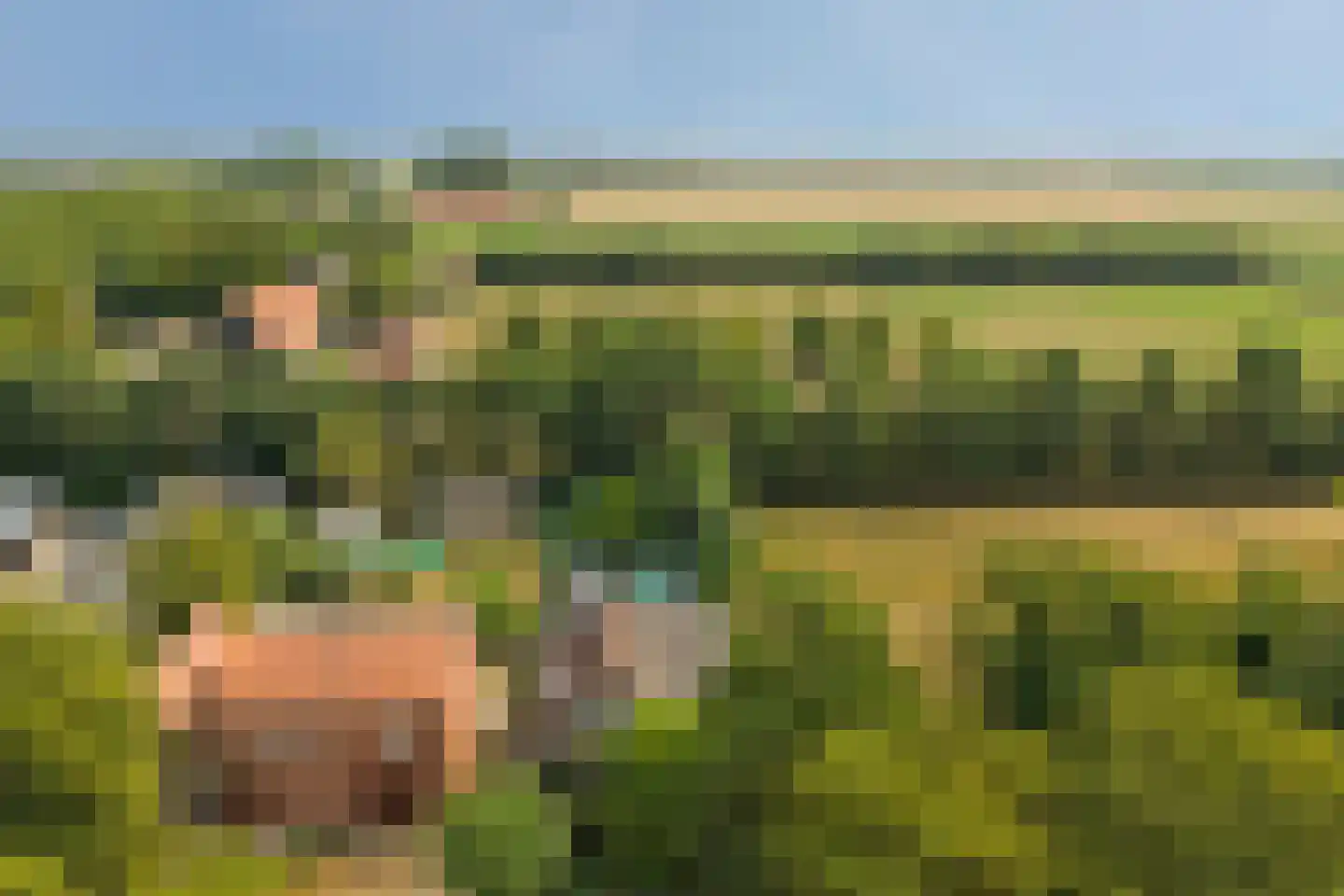 Fransjesweg 5 Kwadendamme thumbnail 34