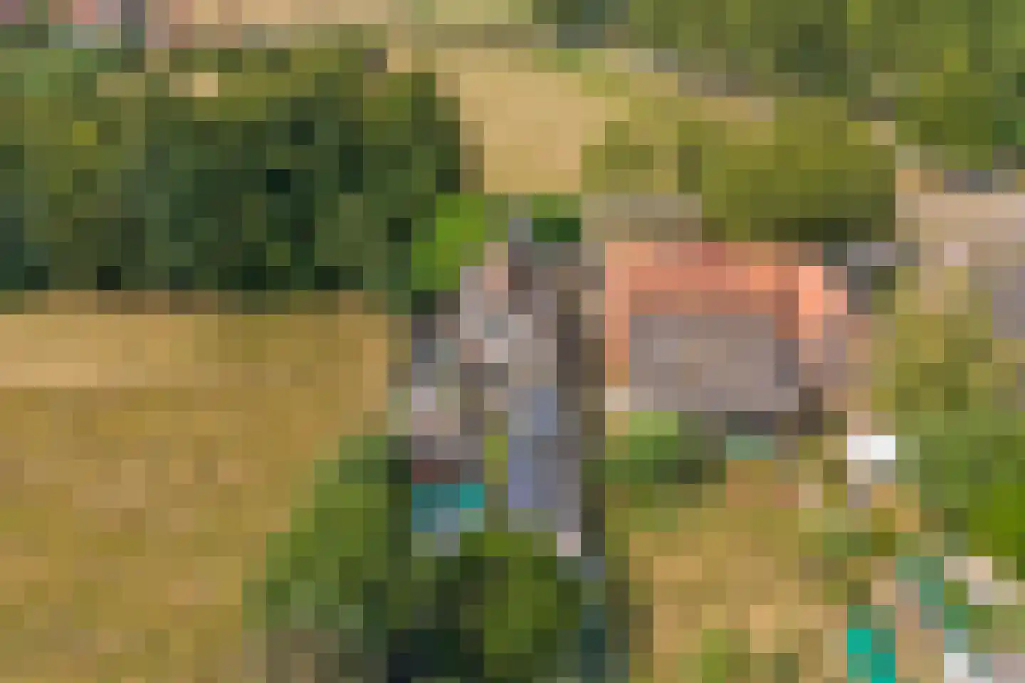 Fransjesweg 5 Kwadendamme thumbnail 35