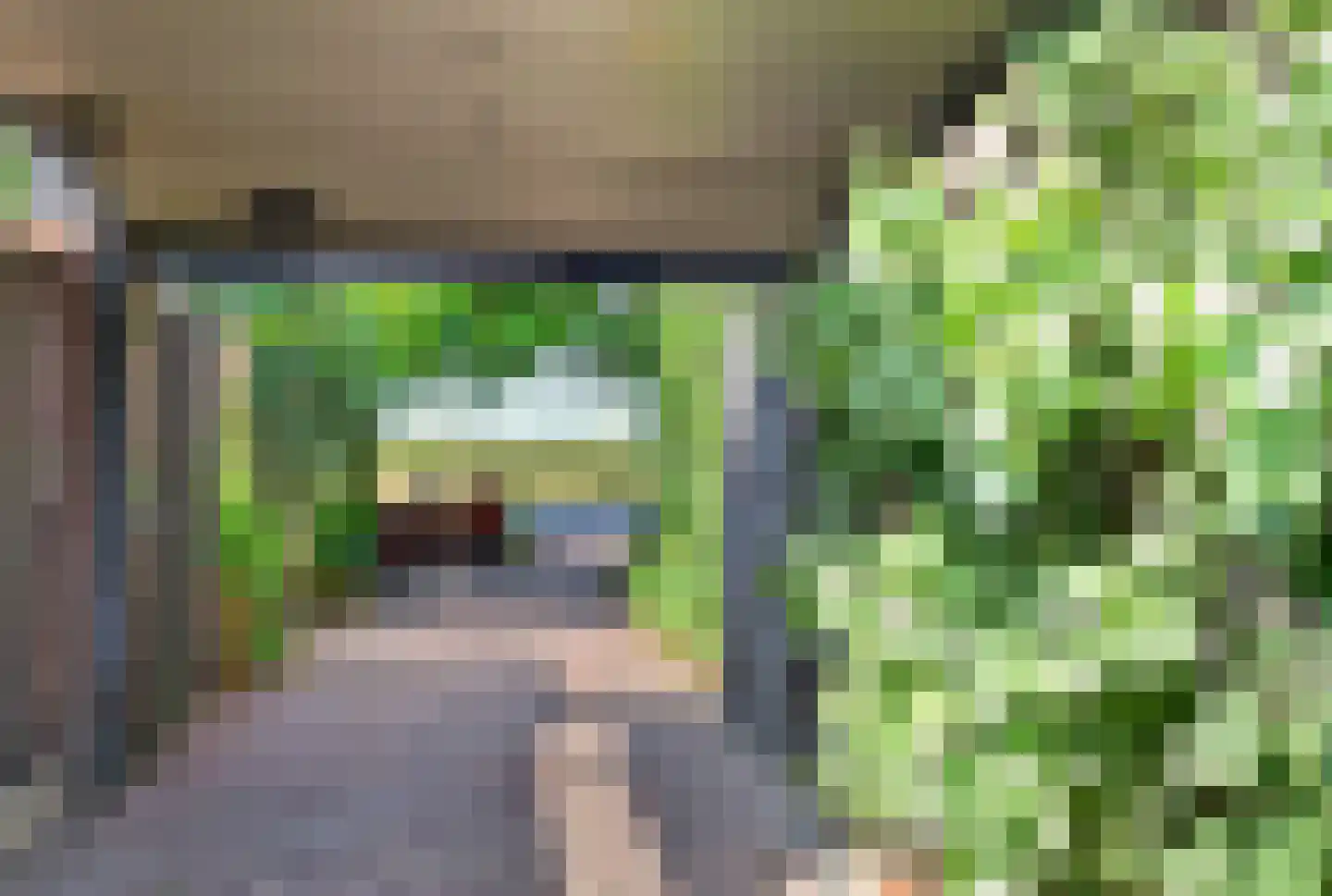 Fransjesweg 5 Kwadendamme thumbnail 39