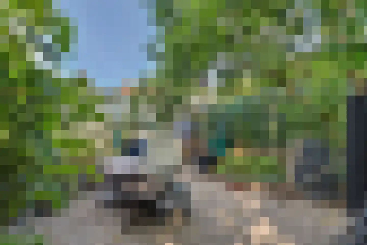 Fransjesweg 5 Kwadendamme thumbnail 40