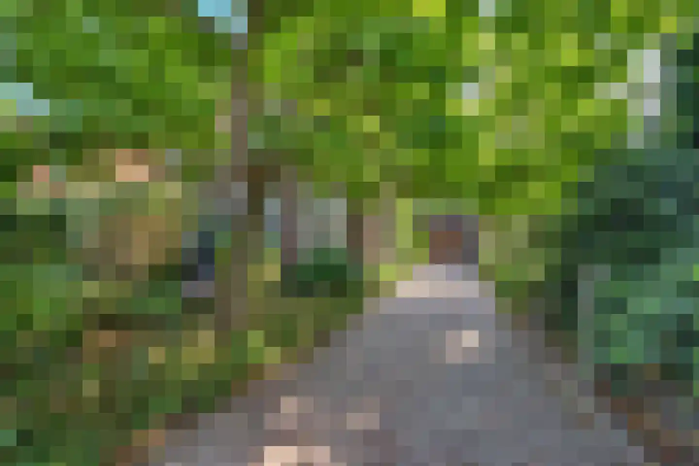 Fransjesweg 5 Kwadendamme thumbnail 5