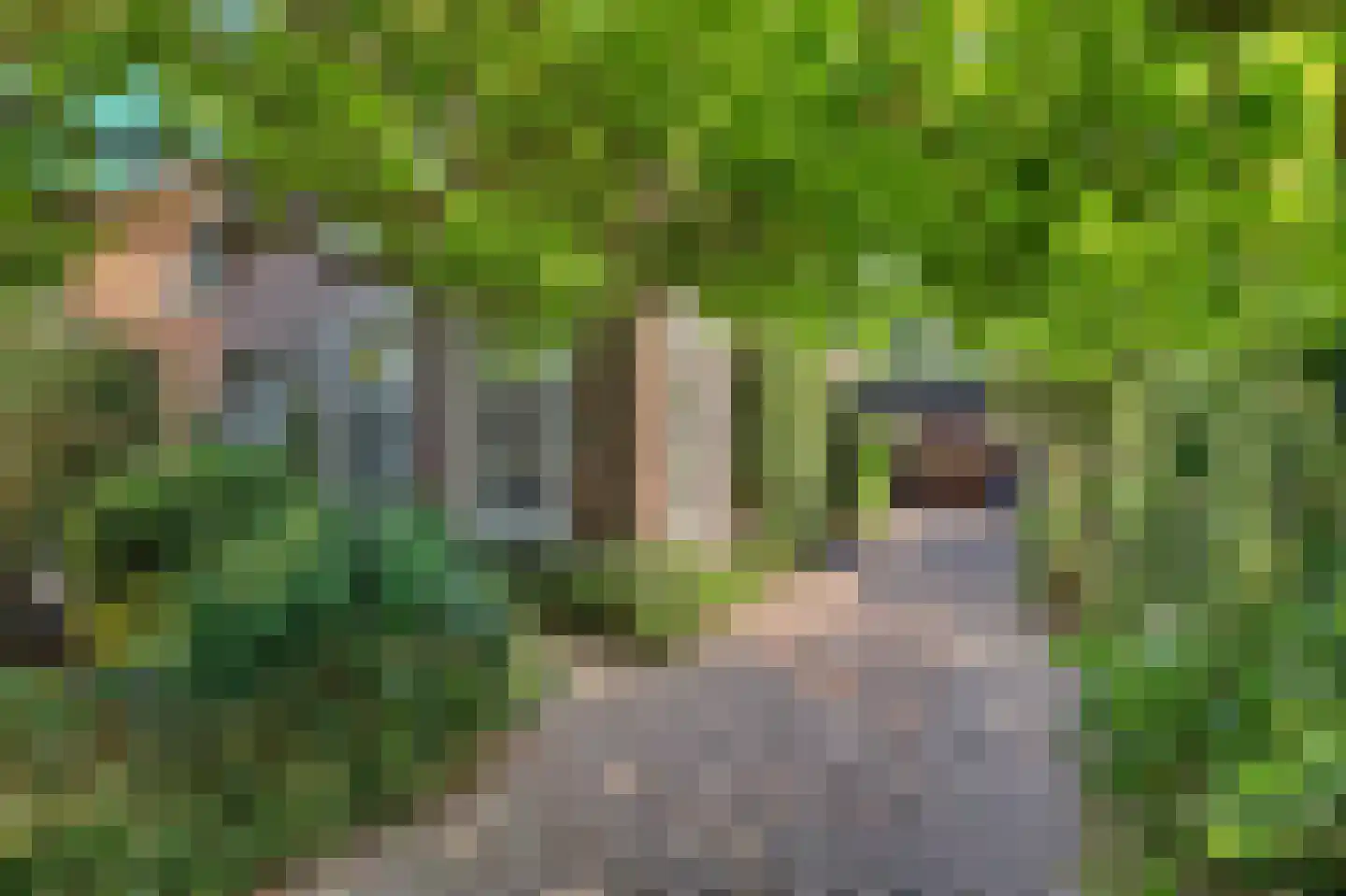 Fransjesweg 5 Kwadendamme thumbnail 6