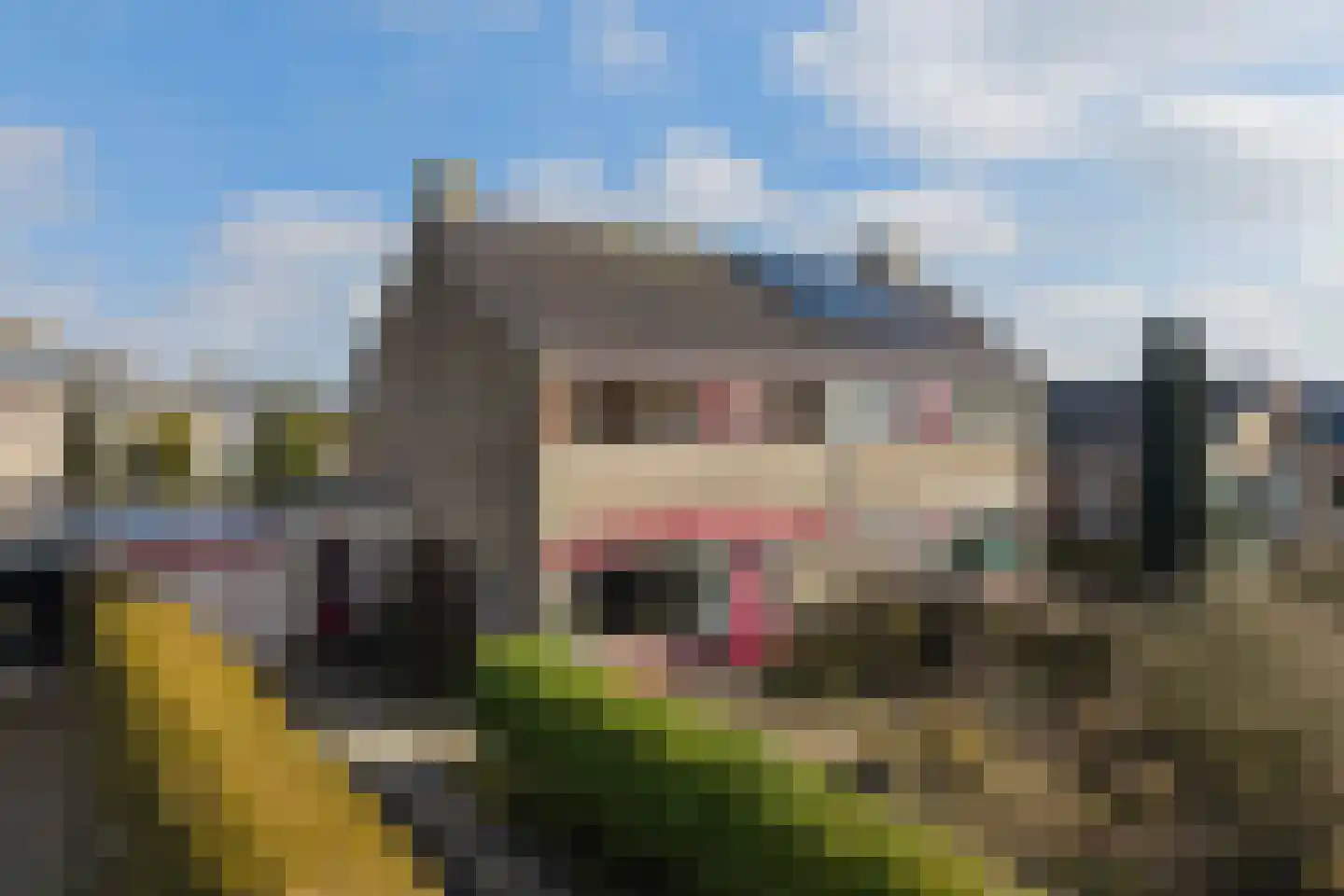 Frânskeleane 27 Bitgum