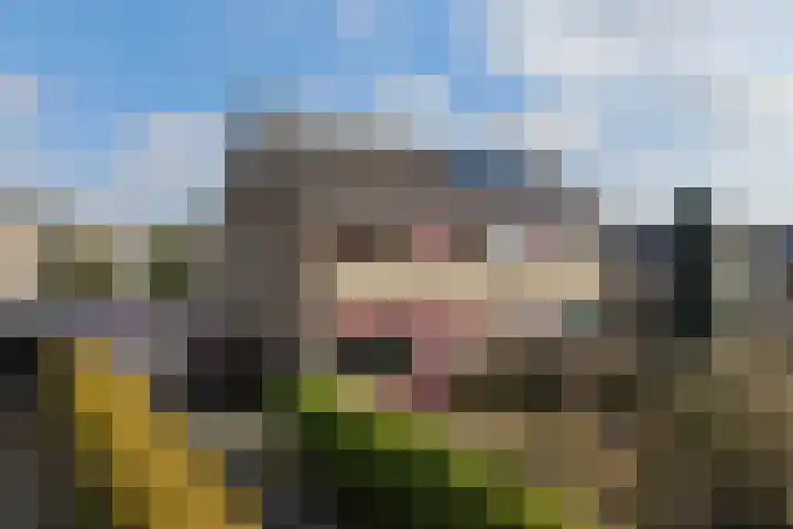 Frânskeleane 27 Bitgum