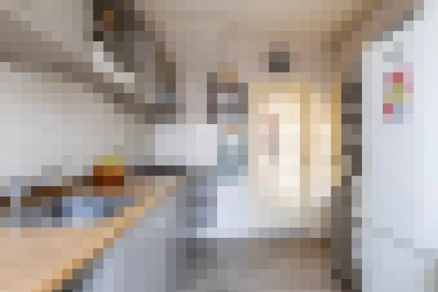 Frânskeleane 27 Bitgum thumbnail 11