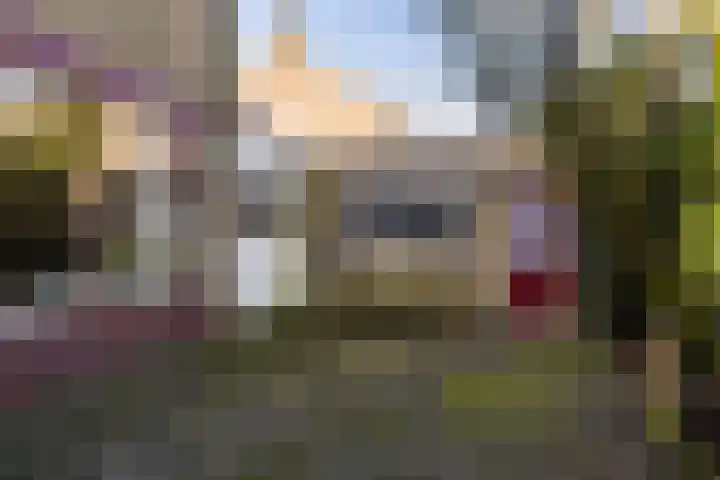 Frânskeleane 27 Bitgum thumbnail 14