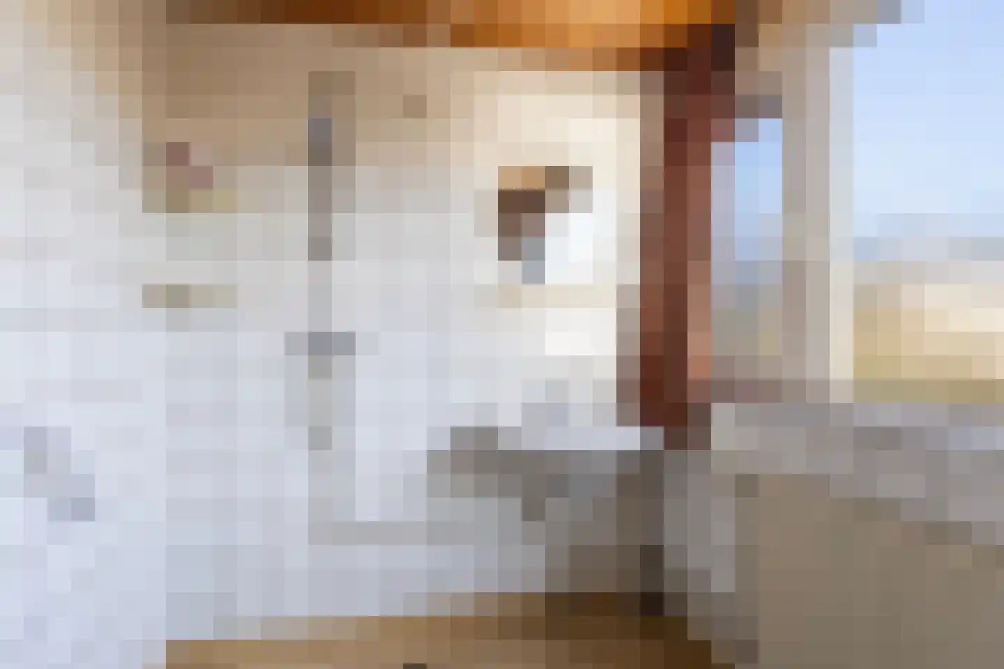 Frânskeleane 27 Bitgum thumbnail 27