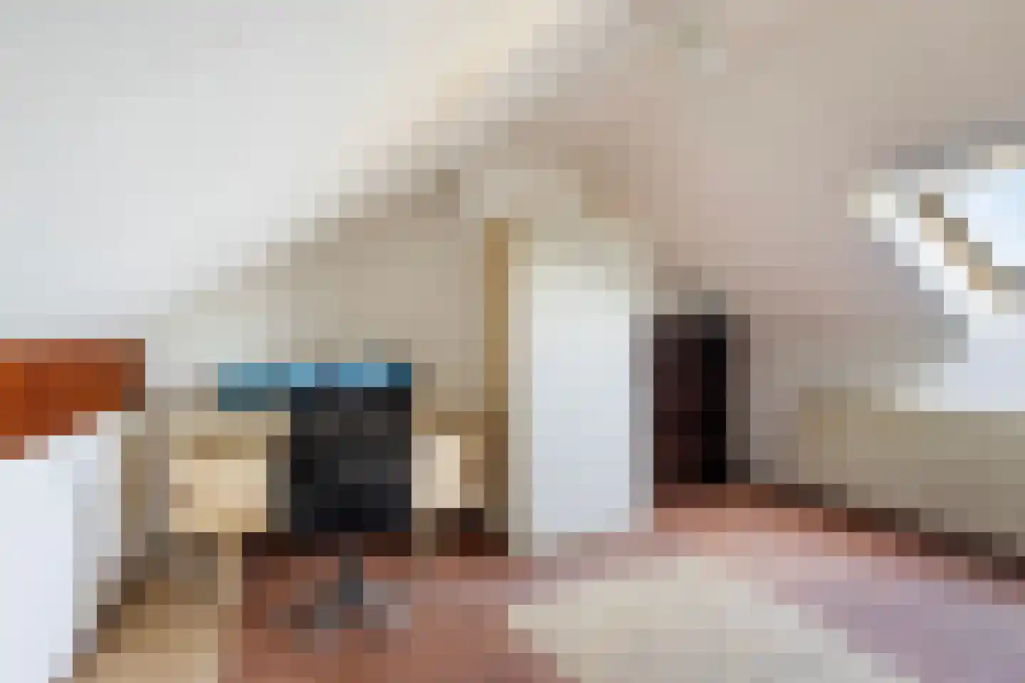 Frânskeleane 27 Bitgum thumbnail 31