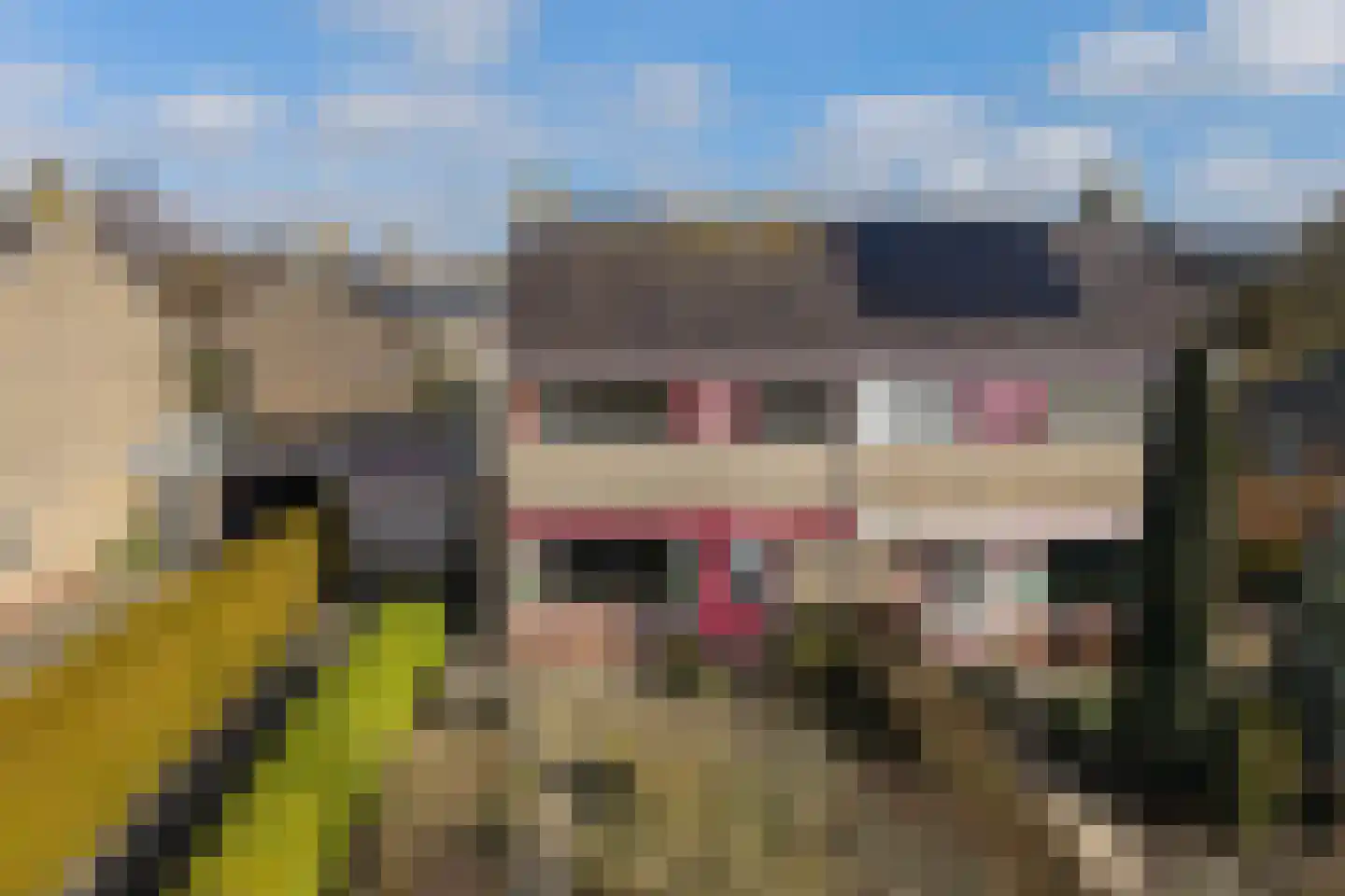 Frânskeleane 27 Bitgum thumbnail 33