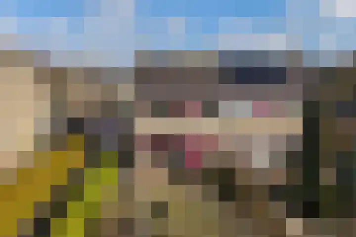 Frânskeleane 27 Bitgum thumbnail 33