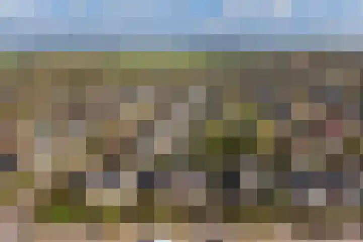 Frânskeleane 27 Bitgum thumbnail 36