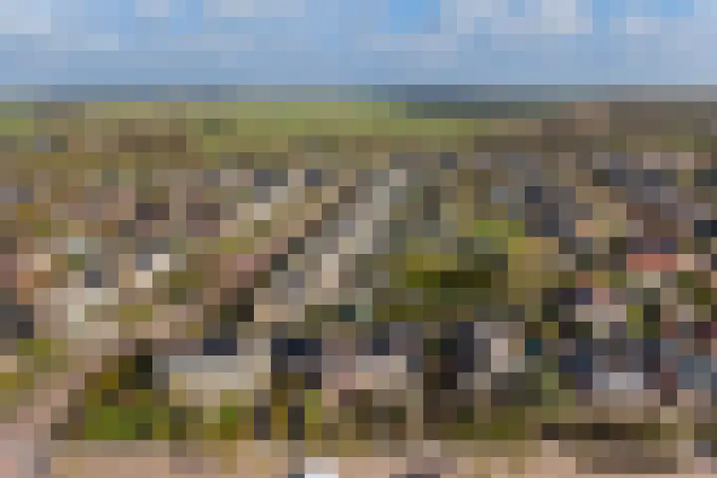 Frânskeleane 27 Bitgum thumbnail 36