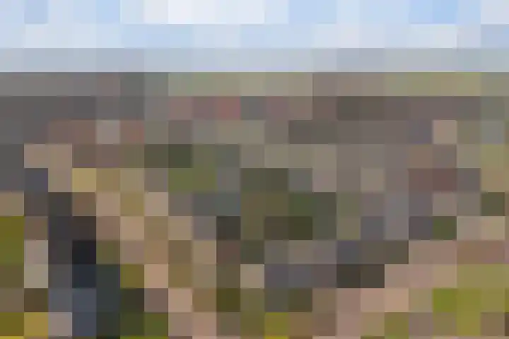 Frânskeleane 27 Bitgum thumbnail 38