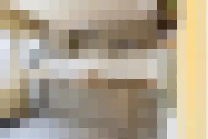 Frânskeleane 27 Bitgum thumbnail 4