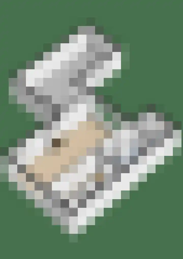 Frânskeleane 27 Bitgum thumbnail 40
